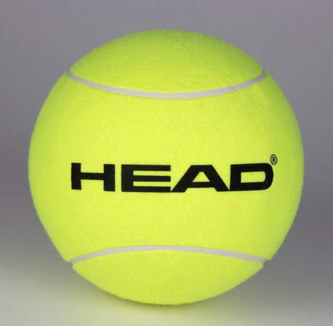 HEAD Giant Ball